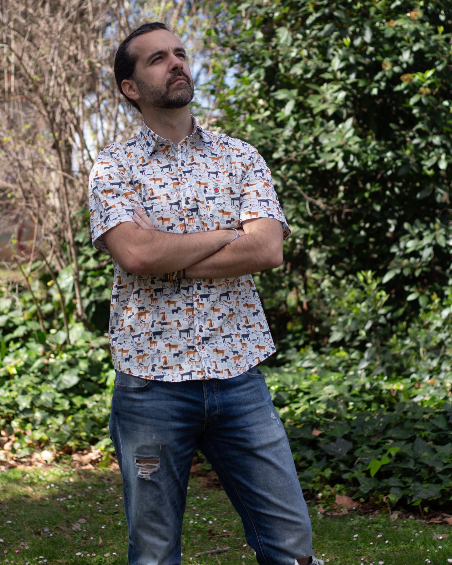 Camisa Perros