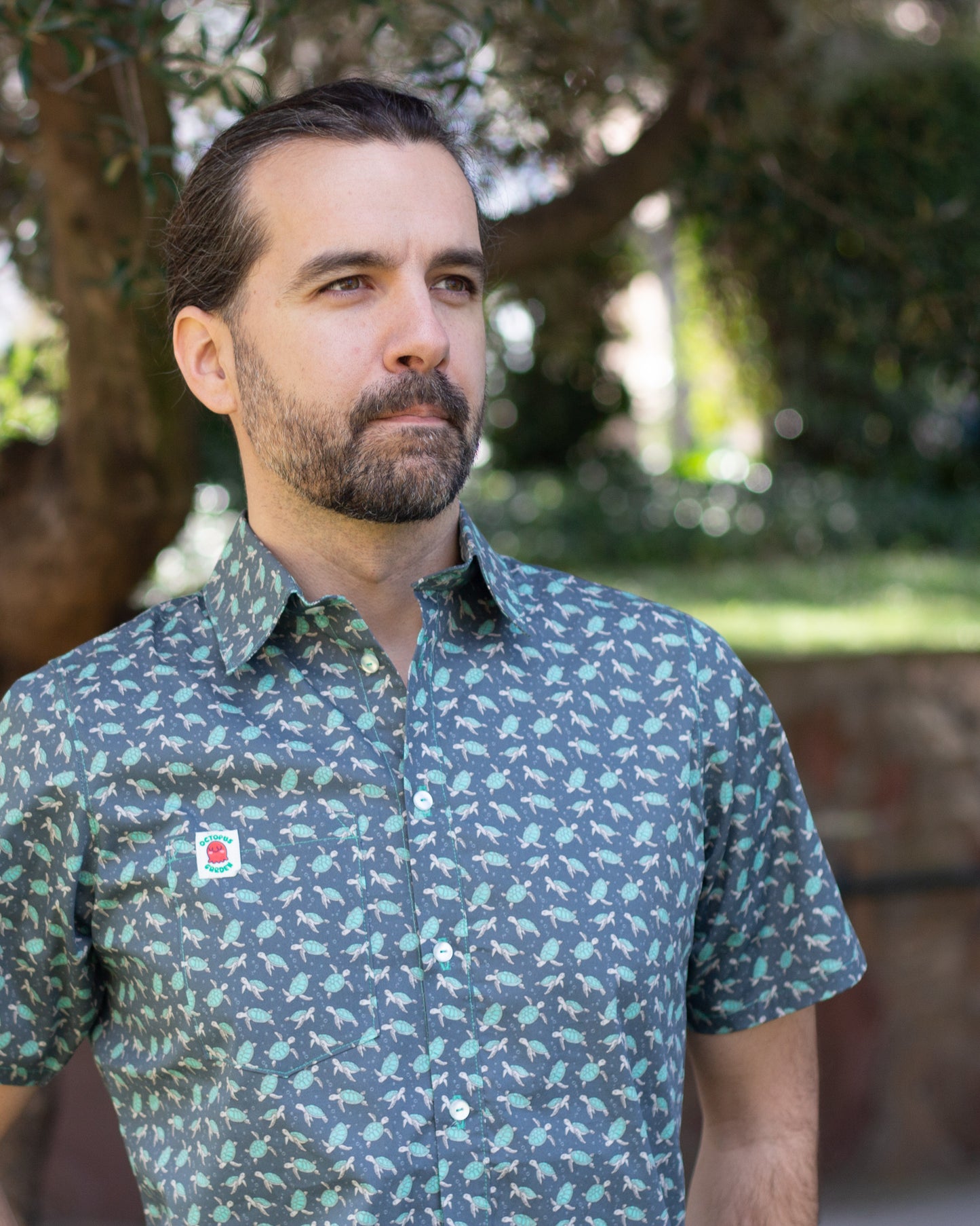 Camisa Tortugas