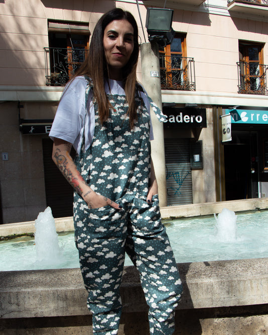Peto Nubes