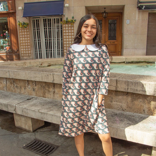 Vestido Evasé Ajolotes