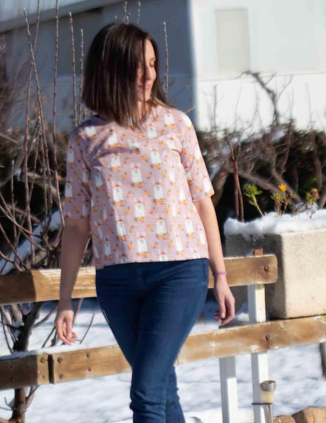Blusa Llamas