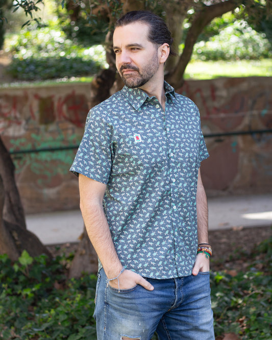 Camisa Tortugas